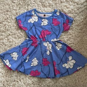 Tea Collection Shirt Sleeve Twirl Dress